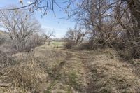 Endless Road in Colorado: Exploring the Rural Landscape