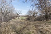 Endless Road in Colorado: Exploring the Rural Landscape