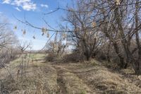 Endless Road in Colorado: Exploring the Rural Landscape