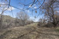 Endless Road Through Colorado Wilderness 002