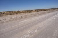 Endless Road in the African Desert