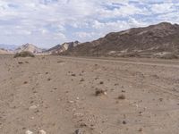 a road running through a desert on a bright day's day with scattered rocks and bushes