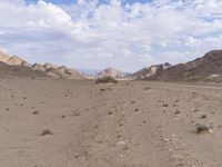 a road running through a desert on a bright day's day with scattered rocks and bushes