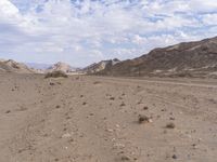 a road running through a desert on a bright day's day with scattered rocks and bushes