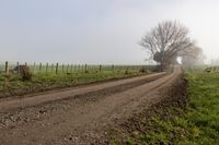 a dirt road in a field near a fence and a tree with leaves on it