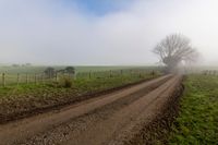 Endless Road in Foggy Rural Landscape
