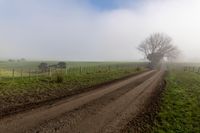Endless Road Through Foggy Rural Landscape 002