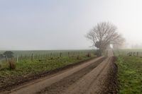 Endless Road in Foggy Rural Landscape 003