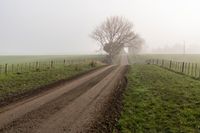 Endless Road in Foggy Rural Landscape 004