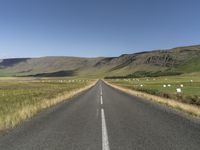 Endless Road in Iceland: Clear Sky Ahead