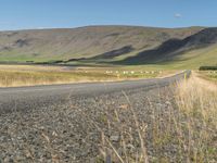 Endless Road in Iceland: Nature's Unending Landscape