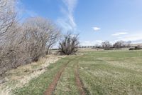 the trail in the field is very wide and narrow, while a blue sky can be seen in the distance