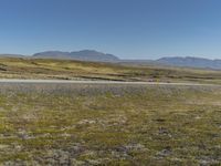 Endless Road in Iceland: Captivating Landscape of an Island