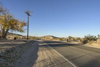 a road with power lines next to trees and bushes in the desert area by a telephone pole