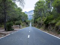 the empty road is lined with trees and rocks and is shown with no people or vehicles