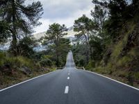 the empty road is lined with trees and rocks and is shown with no people or vehicles