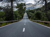 the empty road is lined with trees and rocks and is shown with no people or vehicles