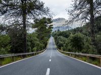 the empty road is lined with trees and rocks and is shown with no people or vehicles