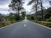 the empty road is lined with trees and rocks and is shown with no people or vehicles