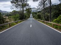 the empty road is lined with trees and rocks and is shown with no people or vehicles