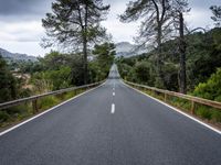 the empty road is lined with trees and rocks and is shown with no people or vehicles