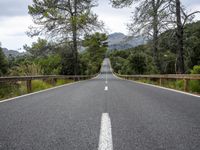 the empty road is lined with trees and rocks and is shown with no people or vehicles