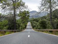 the empty road is lined with trees and rocks and is shown with no people or vehicles
