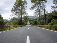 the empty road is lined with trees and rocks and is shown with no people or vehicles