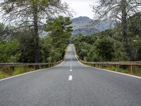 the empty road is lined with trees and rocks and is shown with no people or vehicles