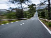 Endless Road Through Lush Vegetation in the Balearic Islands