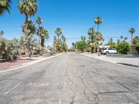 there is a tree lined road in the neighborhood, and no car on the street