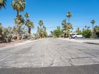 there is a tree lined road in the neighborhood, and no car on the street