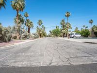 there is a tree lined road in the neighborhood, and no car on the street