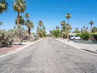 there is a tree lined road in the neighborhood, and no car on the street