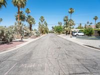 there is a tree lined road in the neighborhood, and no car on the street