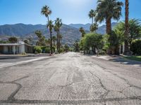 palm trees line the street leading into the mountain range at sunset, near palm springs, florida