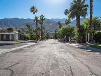 palm trees line the street leading into the mountain range at sunset, near palm springs, florida