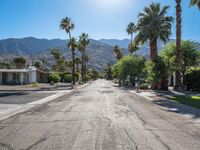 palm trees line the street leading into the mountain range at sunset, near palm springs, florida