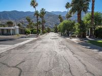 palm trees line the street leading into the mountain range at sunset, near palm springs, florida