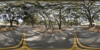 an image of trees on the side of a road in front of another direction with one way roads leading to the end