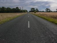 the empty long road has white lines in it and is next to a tall brown field