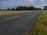 the road has two lanes in each direction and is lined with tall grass and trees