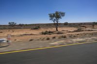 a single motorcycle driving down a desert road in a desert landscape with trees and bushes on either side