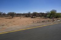 a single motorcycle driving down a desert road in a desert landscape with trees and bushes on either side