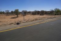 a single motorcycle driving down a desert road in a desert landscape with trees and bushes on either side