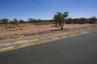 a single motorcycle driving down a desert road in a desert landscape with trees and bushes on either side