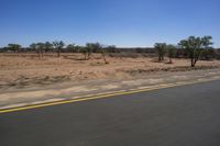 a single motorcycle driving down a desert road in a desert landscape with trees and bushes on either side