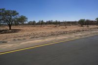 a single motorcycle driving down a desert road in a desert landscape with trees and bushes on either side