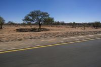 a single motorcycle driving down a desert road in a desert landscape with trees and bushes on either side