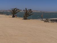 Endless Road in South Africa's Desert Coastline 004